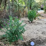 Prázdninový dům Maison 60 M2, Terrain 850 M2, 4 A 6 Personnes Les Mathes