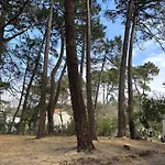 Maison 60 M2, Terrain 850 M2, 4 A 6 Personnes Les Mathes