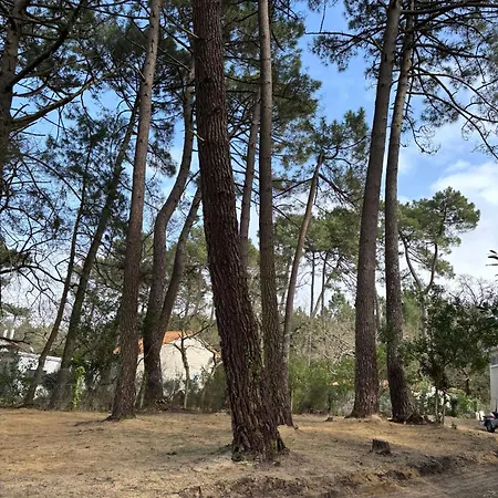 Maison 60 M2, Terrain 850 M2, 4 A 6 Personnes Les Mathes